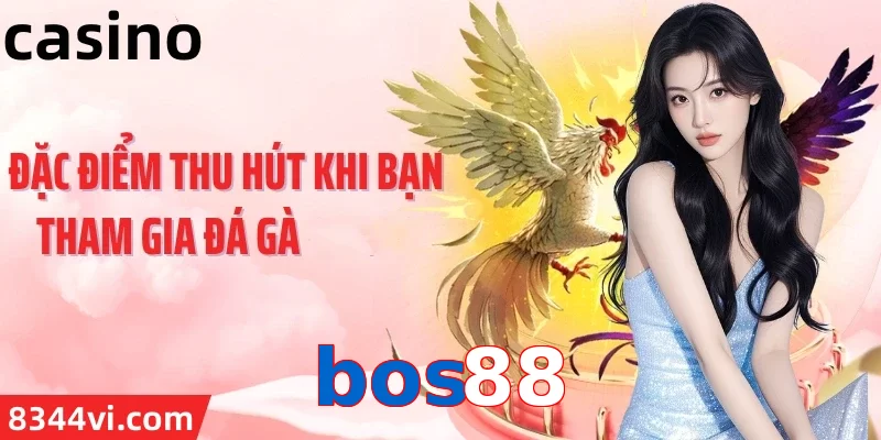 bos88